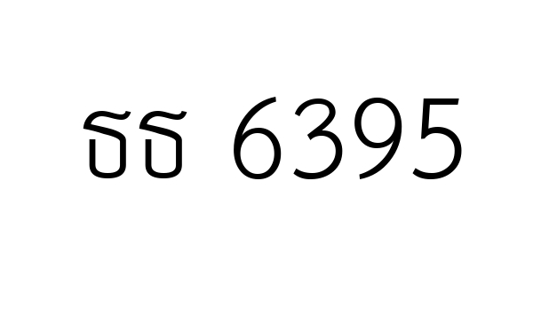 ธธ 6395